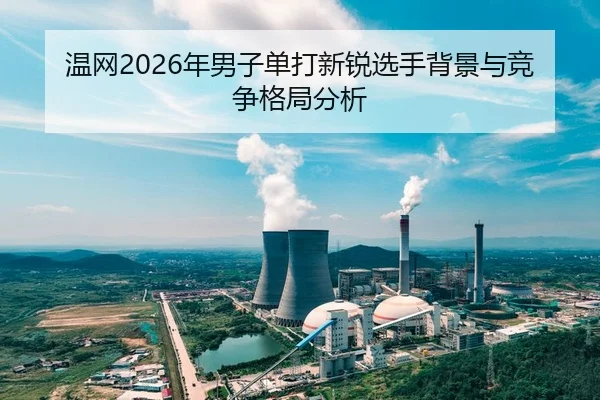 wen-wang-nian-nan-zi-dan-da-xin-rui-xuan-shou-bei-jing-yu-jing-zheng-ge-ju-fen-xi-2-289.jpg